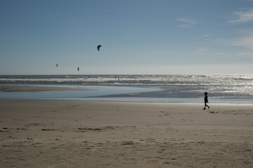 Fototapeta na wymiar Pacific Northwest Beaches