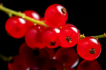 Juicy red currant. Fresh red currant on black background. close up