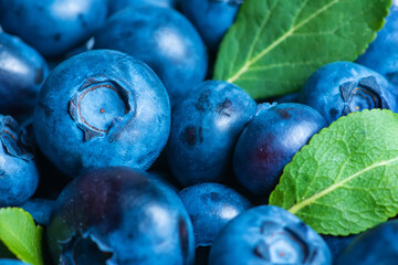 Fresh blueberry background with fresh leaves close up