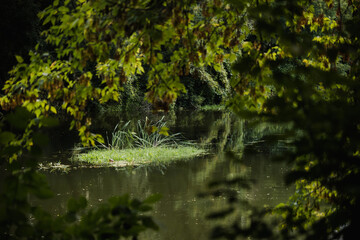 Europe, greenery and wilderness. Reflection