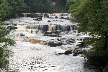 Upper falls at Aysgarth.
