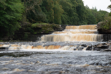 Aysgarths lower falls.
