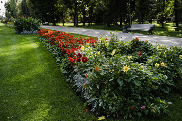 flowers park in the city