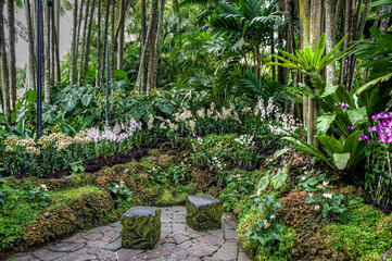 Singapore City Botanical Orchid Garden
