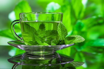 Cups of tea with fresh mint on green background