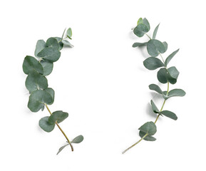 Eucalyptus leaves frame on white background with place for your text. Wreath made of leaf branches. Flat lay, top view - obrazy, fototapety, plakaty
