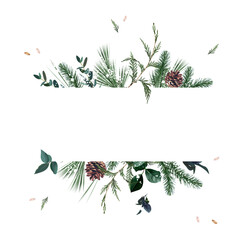 Emerald christmas greenery, spruce, fir, pine cones seasonal vector design frame.