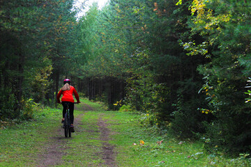 Obraz premium A girl in sportswear and a helmet rides a bicycle through the forest. Back view