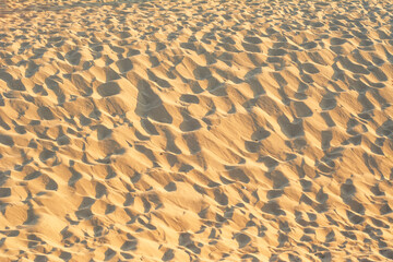 Top view of sandy beach. Background with copy space and visible sand texture.