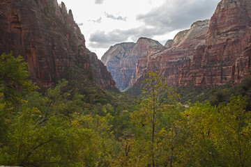 Zion Canyon Landscape 2677