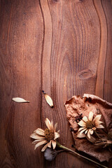 Dried Flowers on a wooden background Autumn Still Life