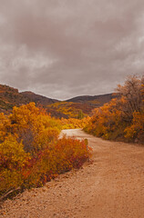 Manti-La Sal Forest Road 2033