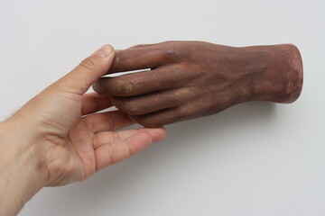 A man's hand holds an artificial plastic hand on a white background.