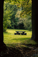 Piknikowa ławka w parku