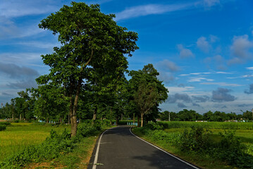 asphalt road in rural india