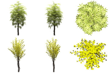 Obraz premium Pack of PNG vegetation. +6K. Tropical Bushes. Made from 3D model for compositing