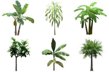 Pack of PNG vegetation. +6K. Tropical Bushes. Made from 3D model for compositing