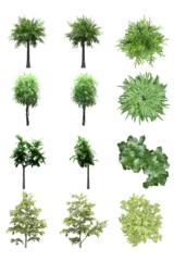Fotobehang Pack of PNG vegetation. +6K. Tropical Bushes. Made from 3D model for compositing © Govinda