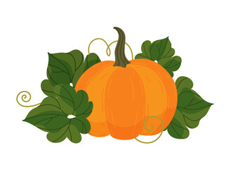 Pumpkin in cartoon style. Pumpkin vector illustration with leaves isolated on white background.