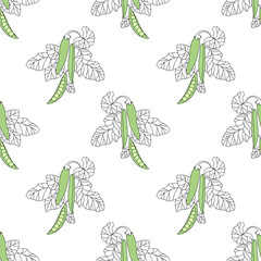 vector illustration sketch seamless pattern with peas on a white background