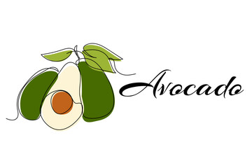 Continuous one line drawing of avocado. Vector illustration on isolated background.