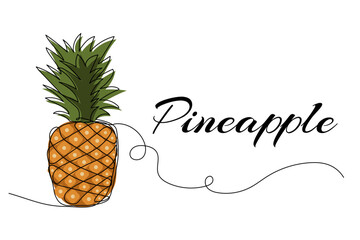 Continuous one line drawing of pineapple. Vector illustration on isolated background.