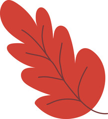 red autumn leaf png