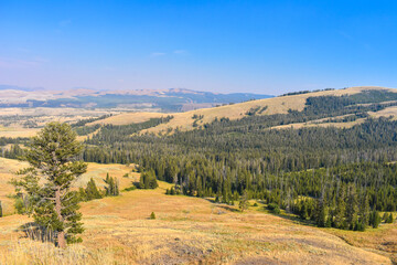 Nothing can be more soothing than a day in beautiful valley at bright sunny day