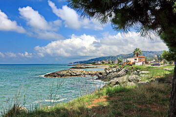 Landscape views coastline with trees and water surface against the blue sky. Black sea, coast of Turkey and Georgia. Summer 2019.
