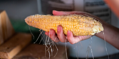 Small child learning to Shucking and tasseling sweet corn 