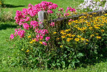 Beautiful Flowers By A Wooden Fence In The Park