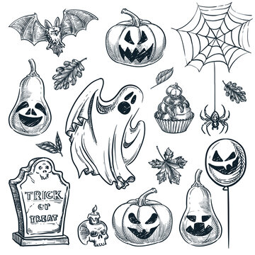 Halloween design elements. Vector hand drawn sketch illustration. Holiday pumpkins, tombstone, ghost, bat, spider on web
