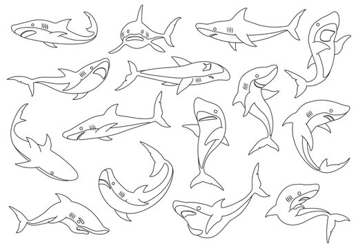 Sea shark vector outline set icon. Vector illustration sea fish of shark on white background .Isolated outline icon ocean animal.