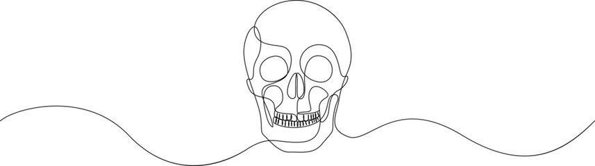 Continuous thin line human skull, minimalist cranium sketch doodle. One line art scull icon or logo. Vector illustration.