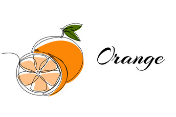 Continuous one line drawing of orange. Modern style vector illustration on isolated background.