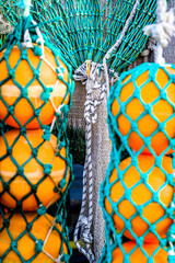 buoy for a fishing net