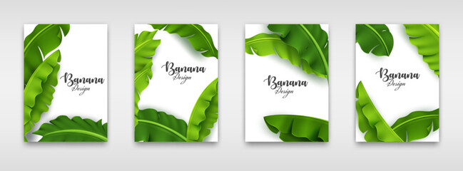 Banana Leaves Invitation, Green Tropical Leaf template, Wedding invitation, Graphic Brochure. Vector Illustration