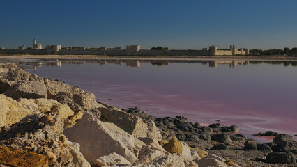 salins du midi aigues mortes