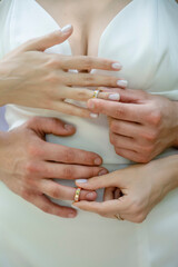 Hands of newlyweds with wedding rings