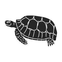 Turtle vector icon.Black vector icon isolated on white background turtle.
