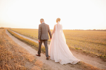 The bride and groom walk hand in hand along the path in the field,admiring the sunset.View from the...