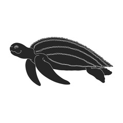 Turtle vector icon.Black vector icon isolated on white background turtle.