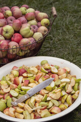 Cutting a lot of apples into pieces in the garden. Fresh red apple harvest. Cutting and preparing a fresh apple for eating. Cut fruits for jam cider or juice outdoors