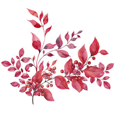 Watercolor fall bouquet, autumn flowers, branches, leaves and berry, isolated on white background