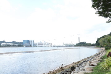 landscape with river