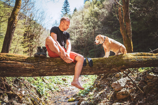 A middle-aged man sitting on the fallen tree log over the mountain forest stream with beagle dog while he waiting for laundry drying and trekking boots. Traveling with pets concept image.