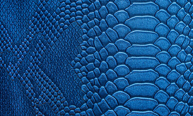 Beautiful blue bright snake or crocodile skin, reptile skin texture, multicolored close-up as a background.
