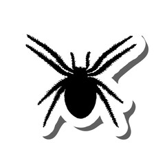 Halloween Spider Sticker