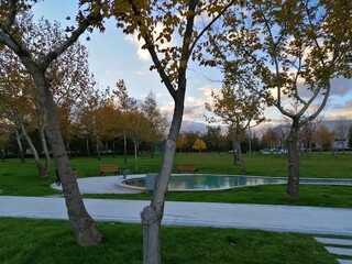 park in spring