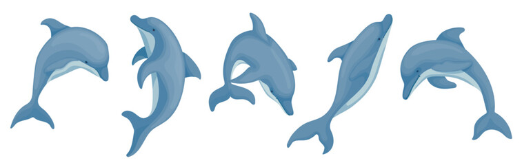 Collection of dolphins, marine mammals. Cartoon vector graphics.